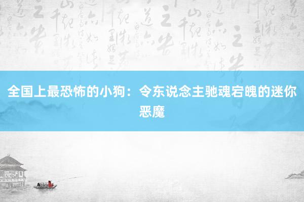 全国上最恐怖的小狗：令东说念主驰魂宕魄的迷你恶魔