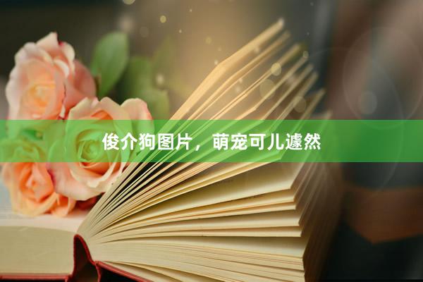 俊介狗图片，萌宠可儿遽然